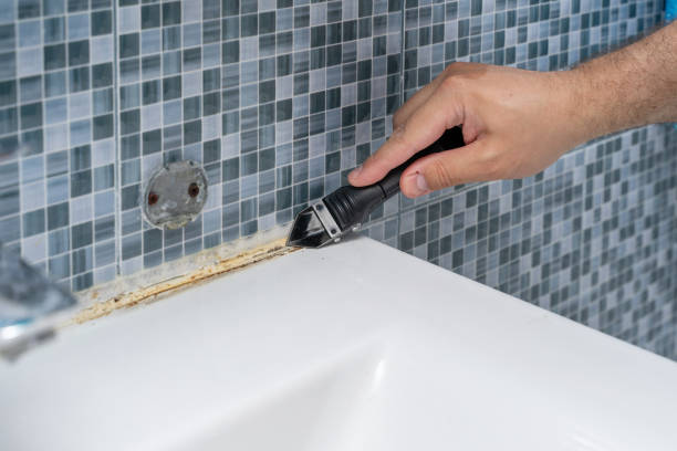 Best Black Mold Removal  in Madison, AL