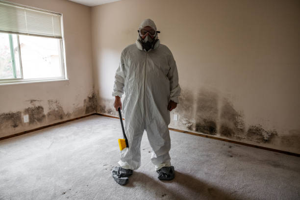 Mold Removal and Inspection in Madison, AL